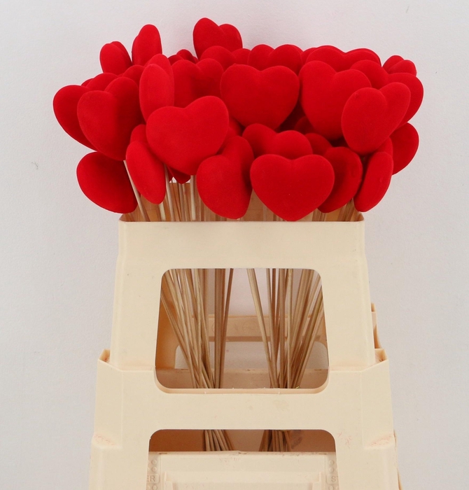 <h4>HARTJE OP STOK H%</h4>