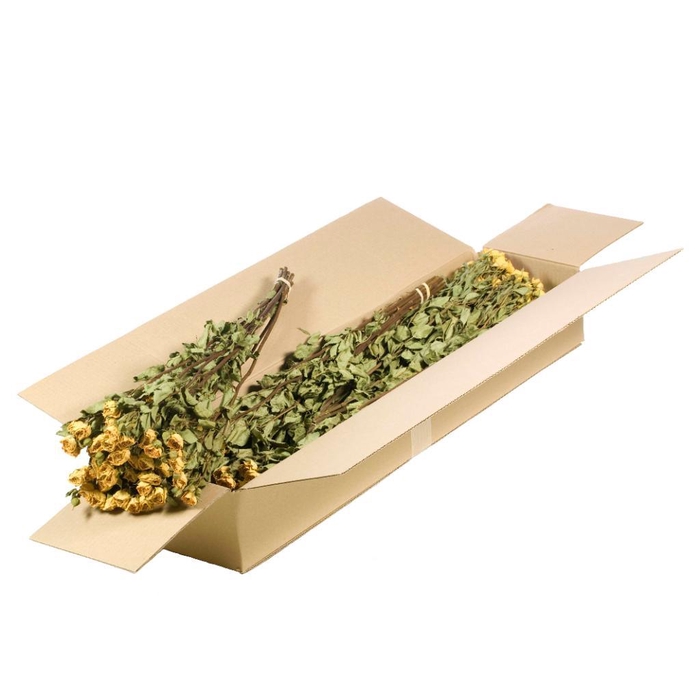 <h4>Roses Spray Sb Natural Yellow</h4>