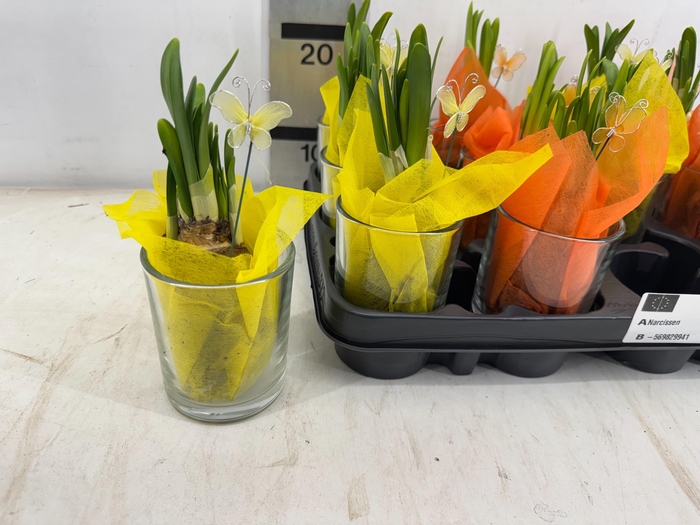 <h4>ARR N TETE A TETE</h4>