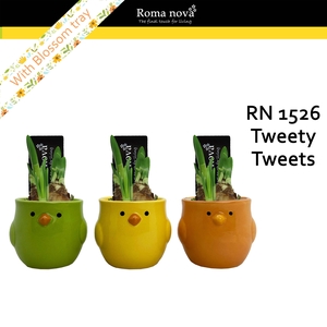1526 - Tweety Tweets (Tete a Tete)