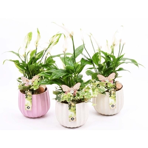 Keramiek pot kleur mix 14cm