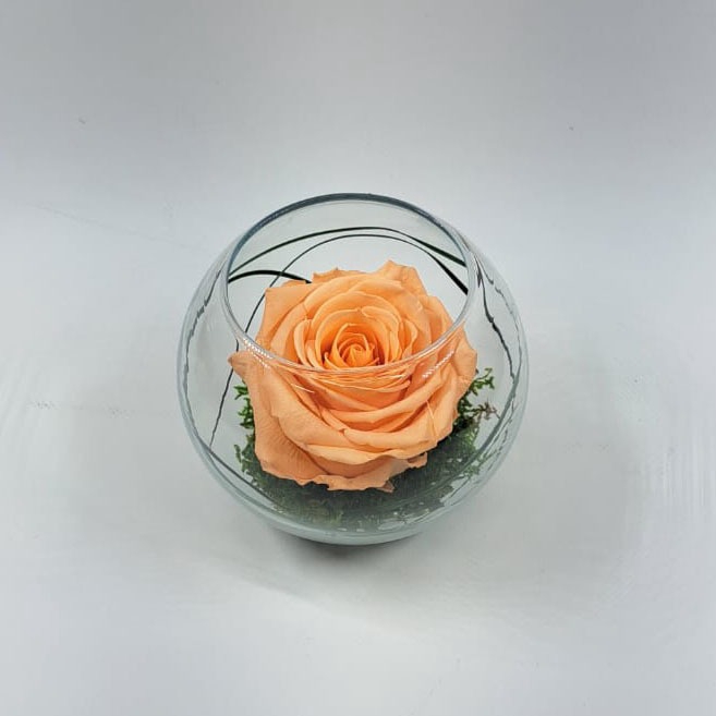 Bolvaas d12cm perzik glas glas