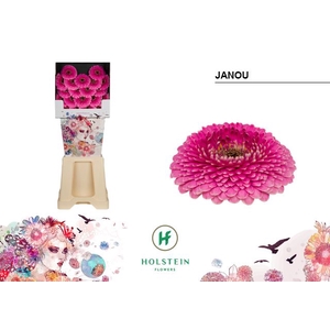 Germini Pomponi Janou Diamond