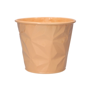 DF04-666773367 - Pot Zinna d16.5xh14 peach