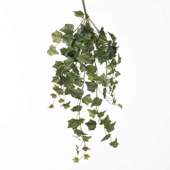 <h4>Af Hangplant Hedera Groen X11</h4>