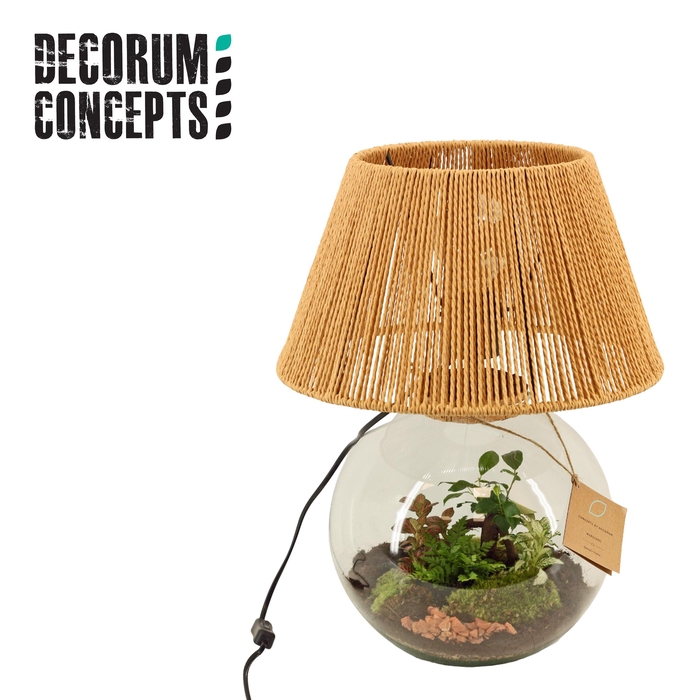 <h4>Terrarium Moon light (Decorum concepts)</h4>