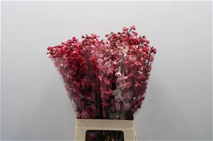 <h4>Delph White Red Dye Tinted 70cm</h4>