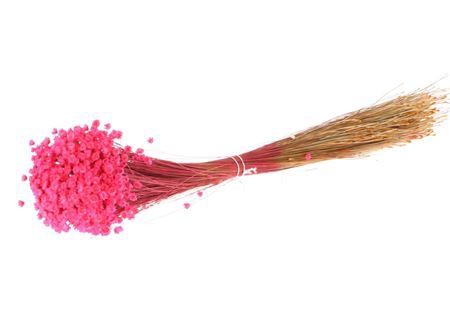 Bunch Glixia Slv 80g L40