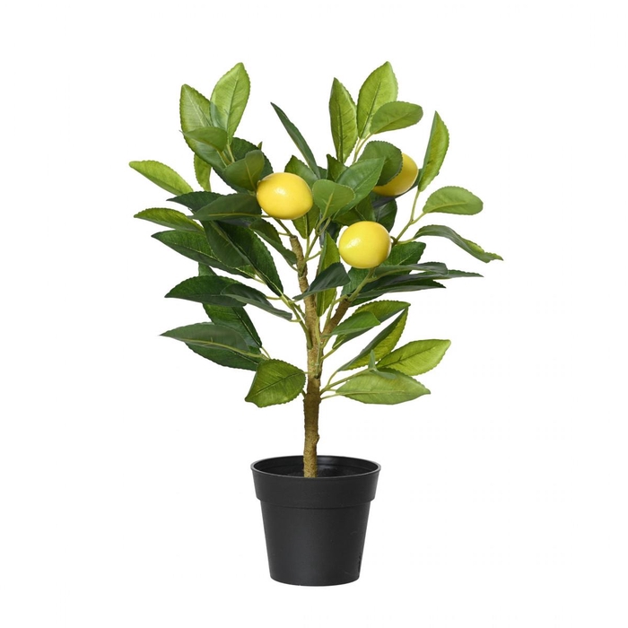 <h4>Artificial plants Lemon tree 43cm</h4>