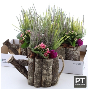 ARR TUINPLANTEN
