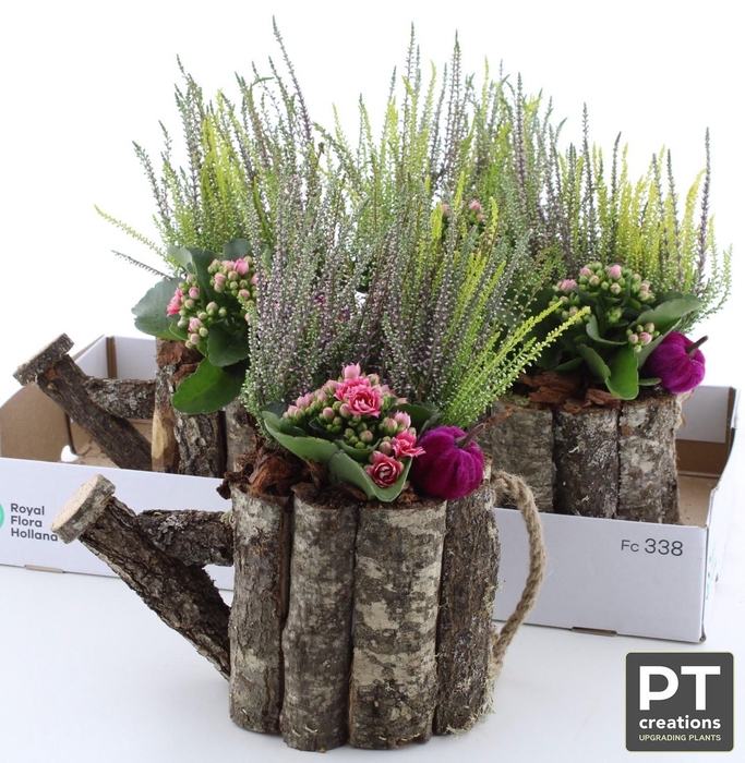 <h4>ARR TUINPLANTEN</h4>