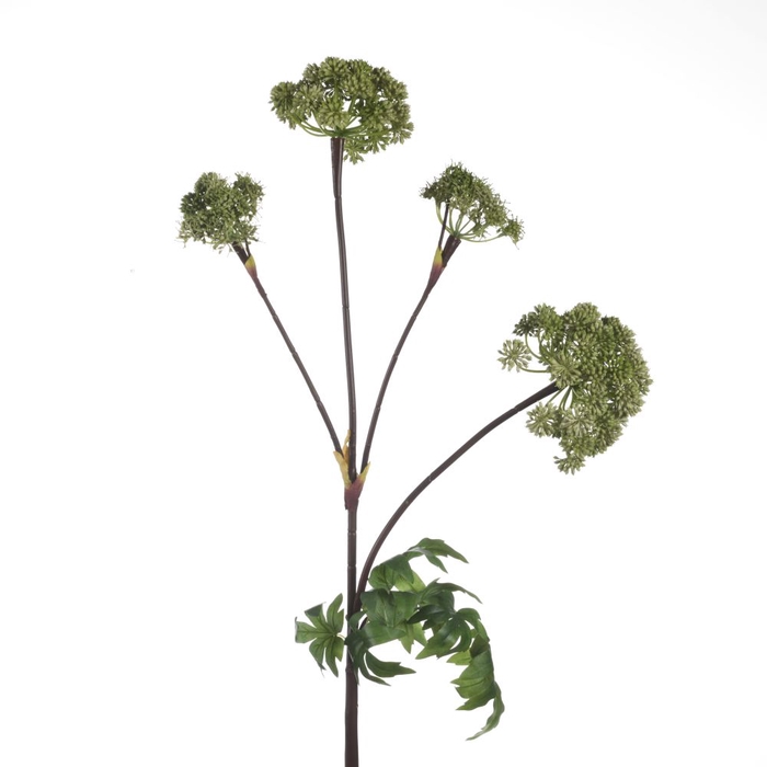 <h4>Af Angelica X4 L130cm Groen</h4>