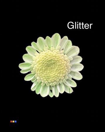 <h4>Chr T Stallion Dusty Mint + Glit Bio</h4>