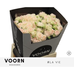 R Tr H La Vie Voorn Seasons