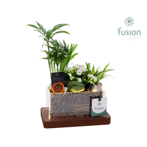 Acryl bakje LED rechthoek met Arrangement