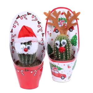 Kerstman mix 5,5 cm in kerst potcovers