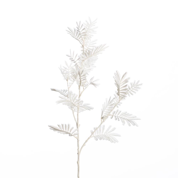 <h4>AF Mimosa leaves spr L94cm wh</h4>