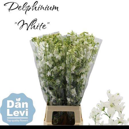 <h4>Delph En Be An White 80cm</h4>