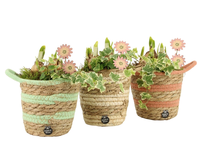 <h4>11655: Outdoor spring arrangement</h4>