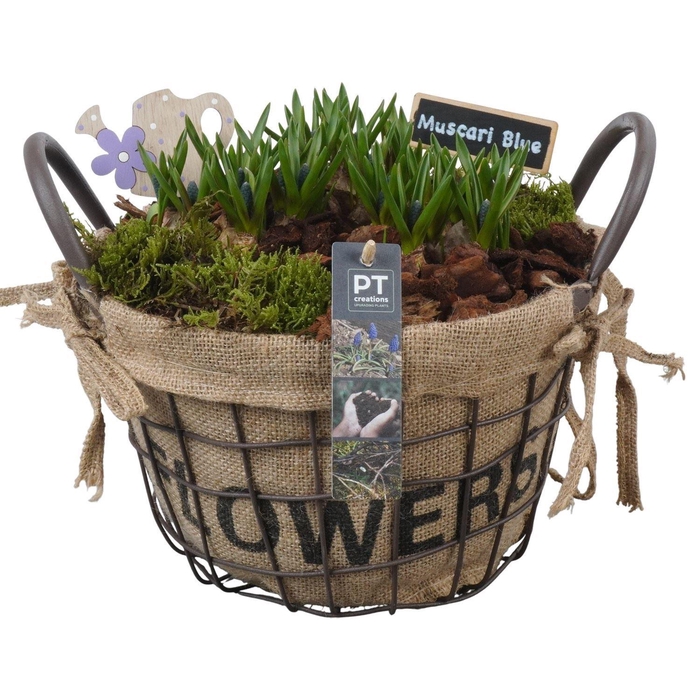 <h4>6250 MUSC FLOWER GAASMAND</h4>