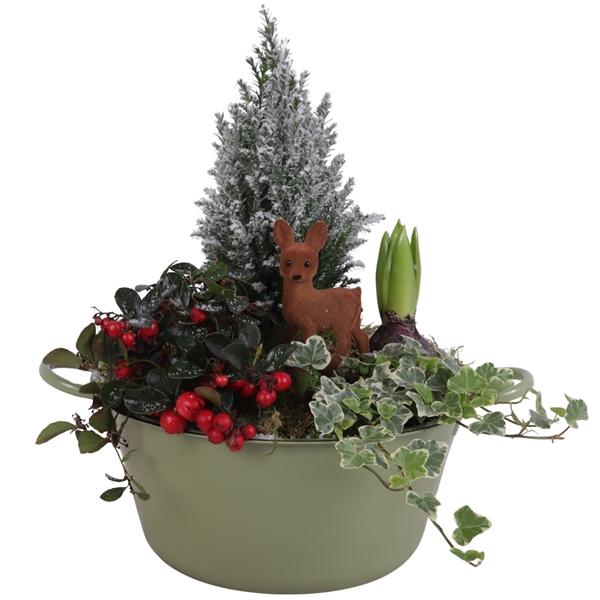 <h4>Winter Arr. Outdoor Zinc Bowl with Handles Green Ø26cm 4PP</h4>