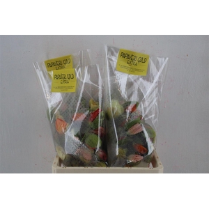 Papaver Mixed Extra P Stem