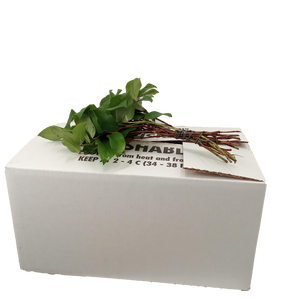SALAL TIPS WHITE BOX