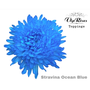 CHR G STRAVINA OCEAN BLUE