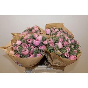 Anem Marianne Powder Pink