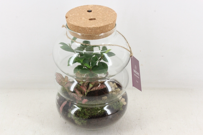 <h4>arr3 WR - Terrarium Pluto M LED</h4>