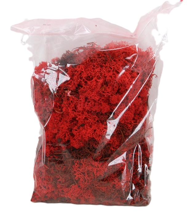 <h4>MOSSEN OV H%</h4>