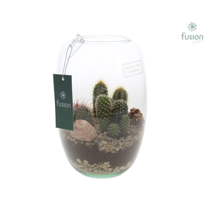 Green Bottle Isabella Small met Cactussen