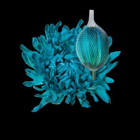 <h4>Chr G Antonov Ocean Green</h4>