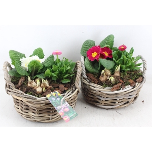 arr4 Outdoor MB - Kubu rond laag x2