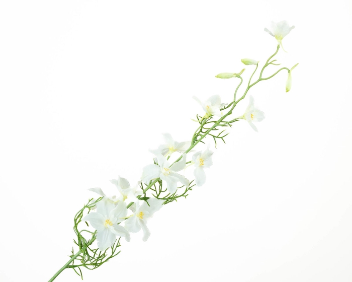 Delphinium White Extra FL440045WHI