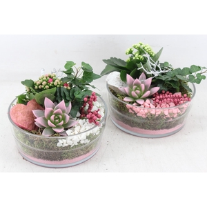 Arr2 Mb - Glas Schaal 285/5 - Roze/wit