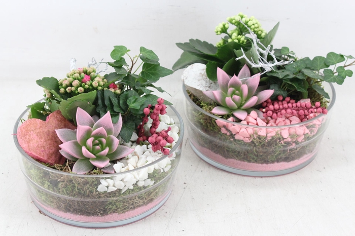 Arr2 Mb - Glas Schaal 285/5 - Roze/wit