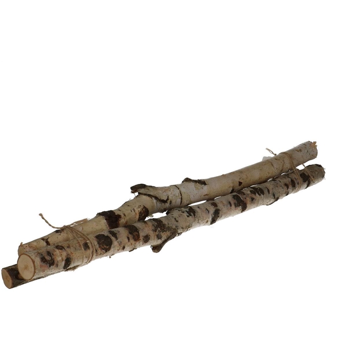<h4>Dried articles Birch branch 60cm x3</h4>