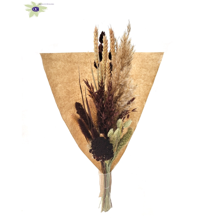 <h4>Dried Bouquet BQ 8</h4>