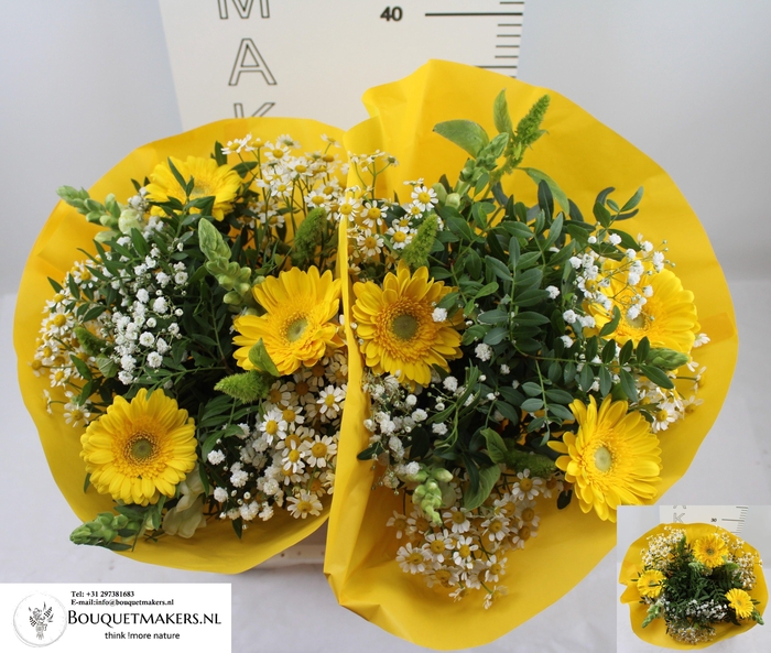 <h4>GEM BOEKET OV</h4>