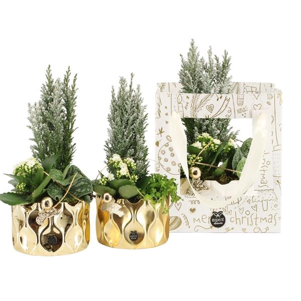 <h4>61725: X-mas arrangement</h4>