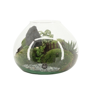 90762: Landscape arrangement