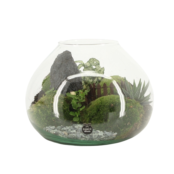<h4>90762: Landscape arrangement</h4>
