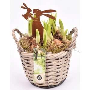 Wilg mand grijs met oor 14cm