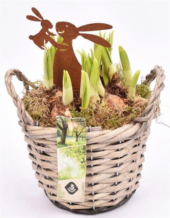 <h4>Wilg mand grijs met oor 14cm</h4>