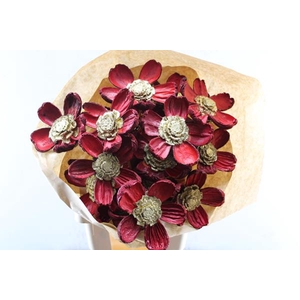Droog Pineflower Red-gold Hart