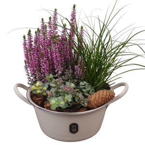 Arr.   Tuinplanten L%
