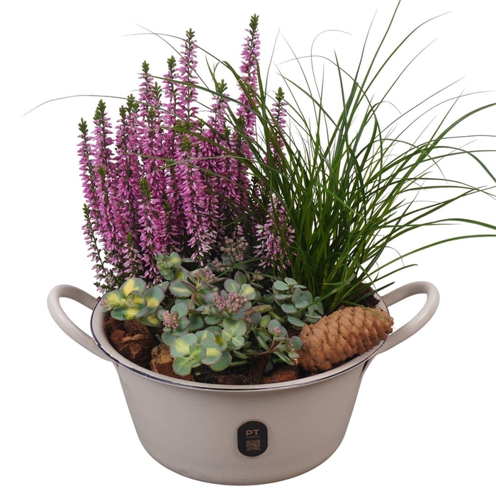Arr.   Tuinplanten L%