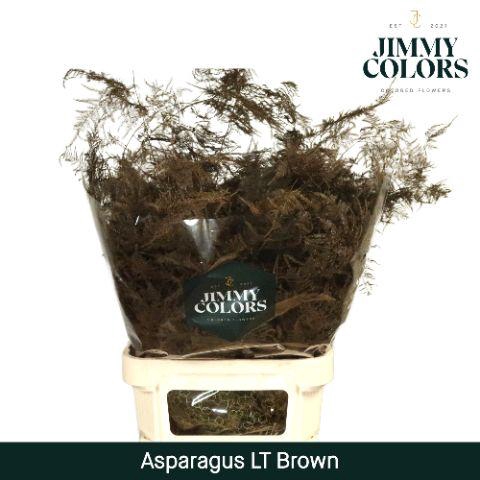 <h4>Aspa lang getopt Brown</h4>