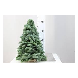 KERSTBOOM 40 CM